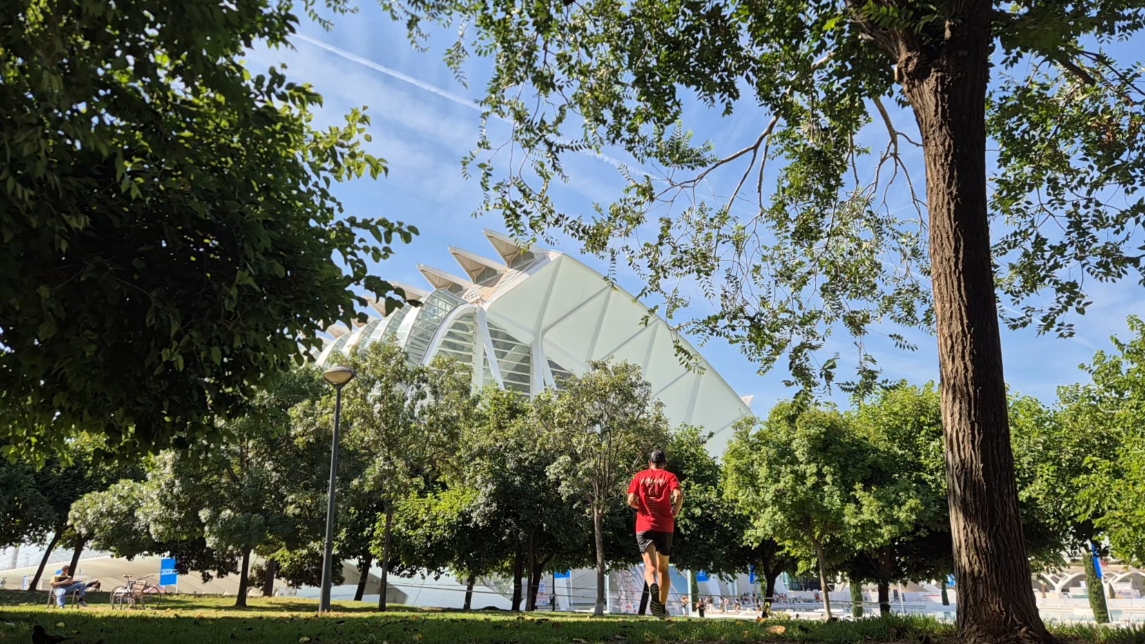 Running in Valence